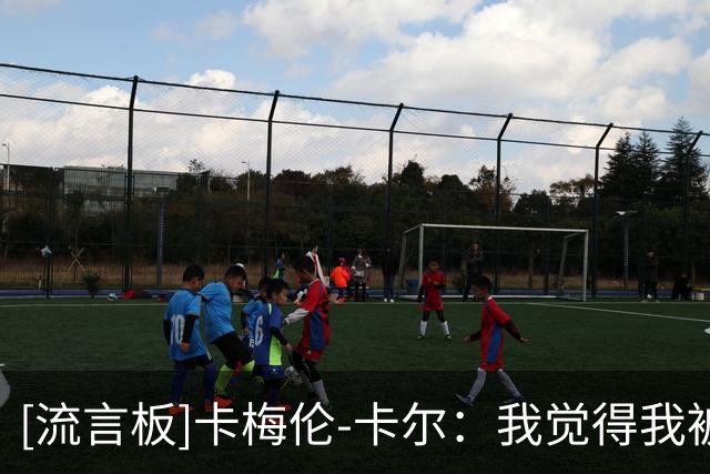 [流言板]卡梅伦-卡尔：我觉得我被忽视了，所以我有很多东西要证明
